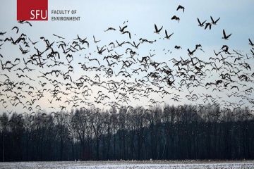 April 19, 2017: A City for the Birds, Invitation to Environment Dean’s Lecture  Speaker: A City for the Birds, by Dr. Rob Butler