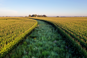 To save threatened plants and animals, restore habitat on farms, ranches and other working lands