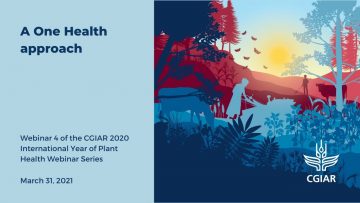 March 31: WEBINAR 4: Plant Health for One Health