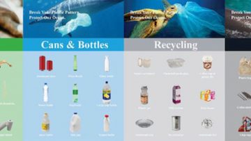 How Images of Turtles and Dolphins Helped One Vancouver Office Building Reduce Plastic Waste