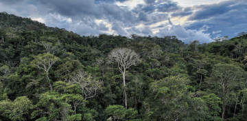 Citizen-run conservation booms in South America, despite state neglect