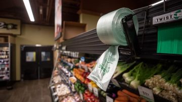 Messaging, visual cues can reduce the use of plastic produce bags, says study from UBC prof