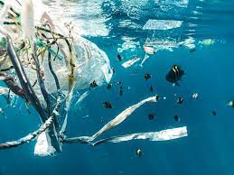 Opinion: We must eliminate persistent, bio-accumulative and toxic plastics before it’s too late