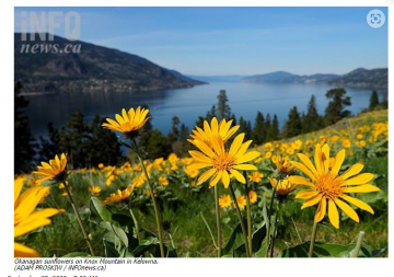 ‘The land will be lost forever:’ Okanagan is one the most endangered ecosystems in Canada