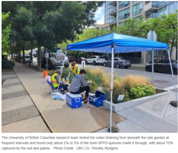 UBC researchers say rain gardens captured 90% of toxic tire runoff