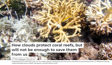 How clouds protect coral reefs, but will not be enough to save them from us