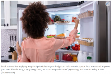 How to feng shui your fridge — and why it might help to curb climate change