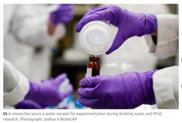 UK failing to match EU in fight against ‘forever chemicals’, say scientists