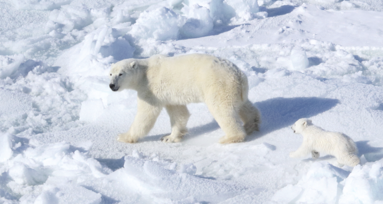 Climate scientists reject highest emission, highest warming climate scenario
